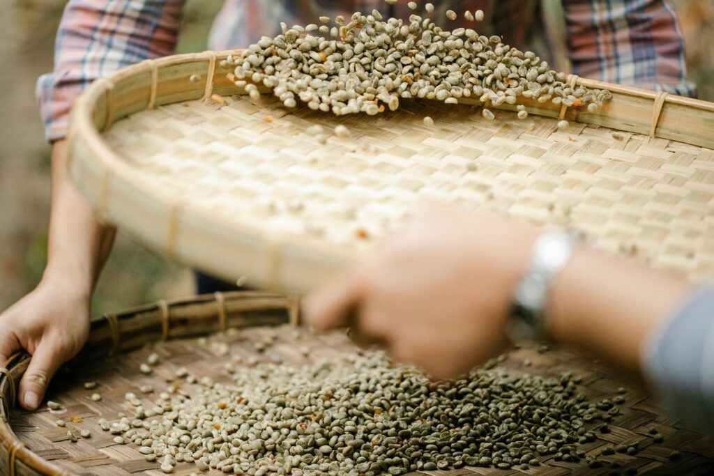 grain being winnowed through a bamboo sift
